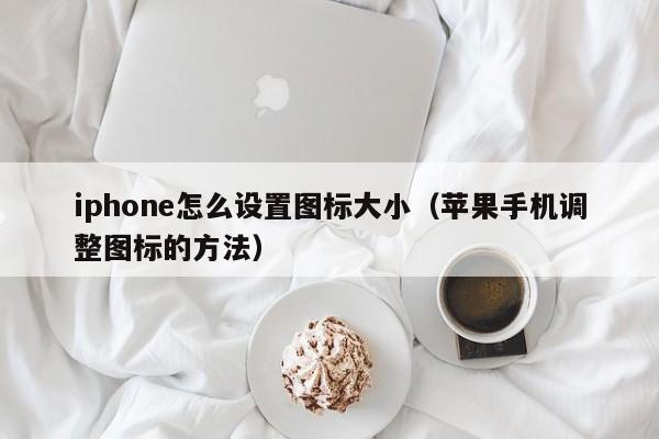 苹果手机调整图标的方法(iphone怎么设置图标大小)