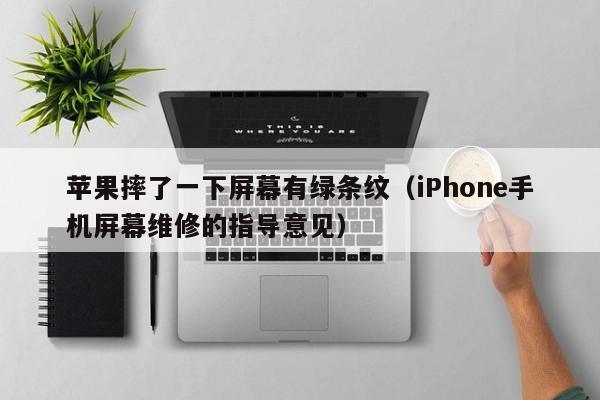 iPhone手机屏幕维修的指导意见(苹果摔了一下屏幕有绿条纹)