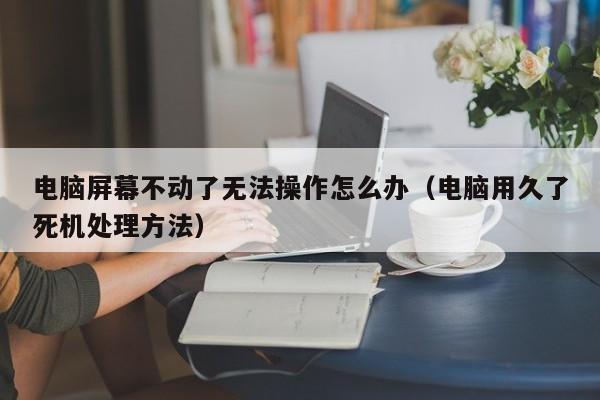 电脑屏幕不动了无法操作怎么办