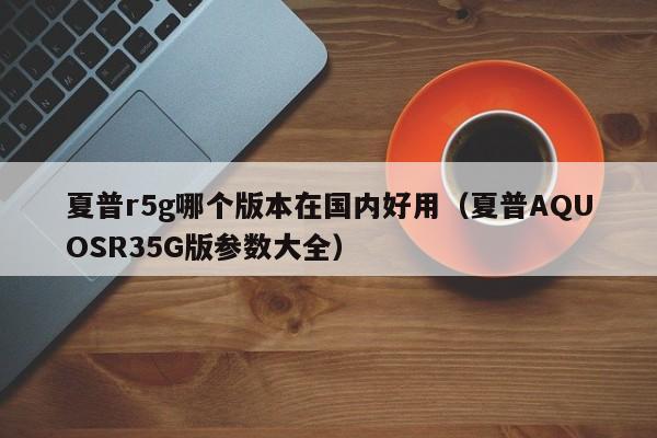 夏普r5g哪个版本在国内好用