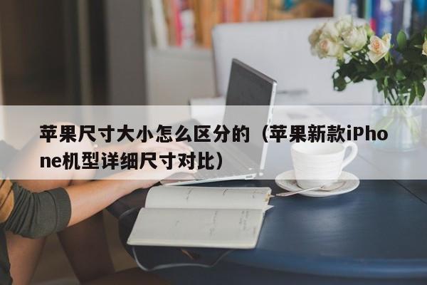 苹果新款iPhone机型详细尺寸对比(苹果尺寸大小怎么区分的)