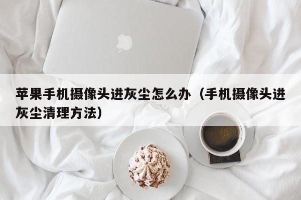 苹果手机摄像头进灰尘怎么办