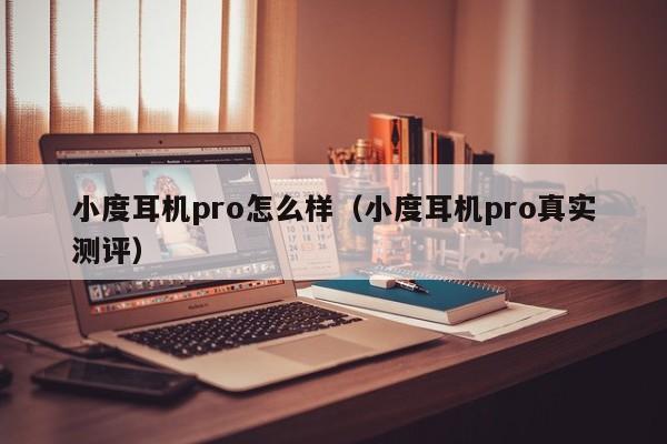 小度耳机pro怎么样