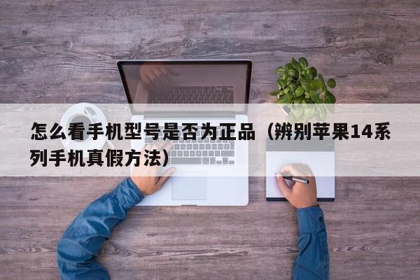 辨别苹果14系列手机真假方法(怎么看手机型号是否为正品)