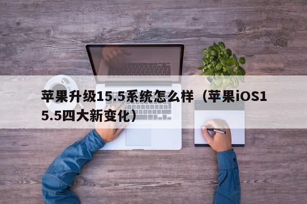 苹果iOS15.5四大新变化(苹果升级15.5系统怎么样)