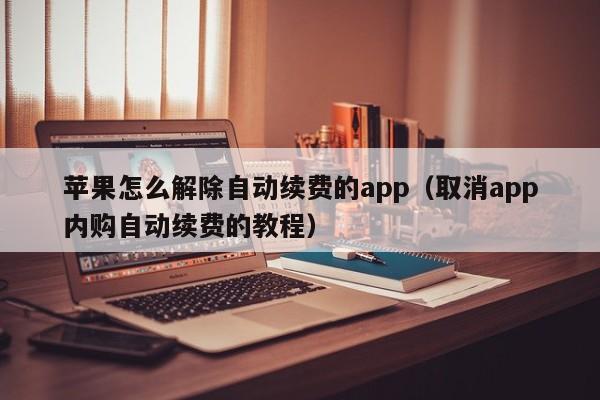 苹果怎么解除自动续费的app