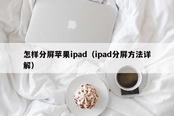 怎样分屏苹果ipad