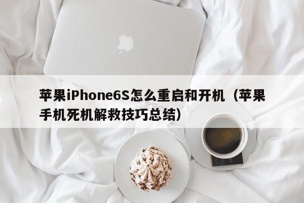 苹果iPhone6S怎么重启和开机