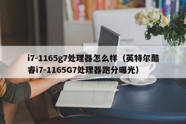 英特尔酷睿i7-1165G7处理器跑分曝光(i7-1165g7处理器怎么样)