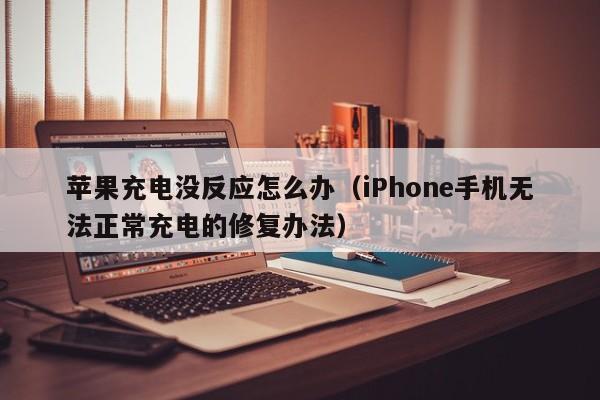 iPhone手机无法正常充电的修复办法(苹果充电没反应怎么办)