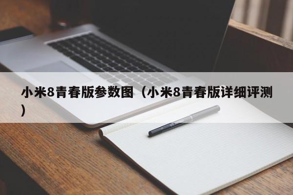 小米8青春版参数图