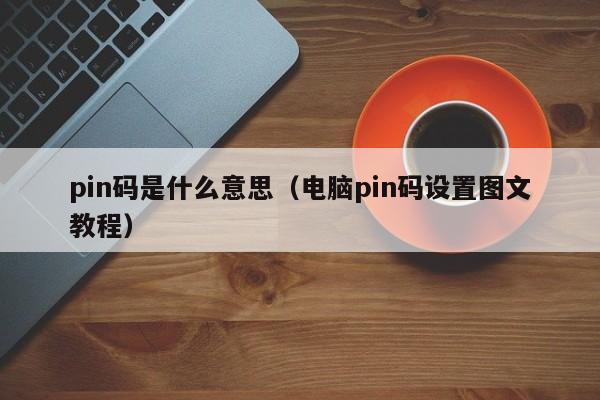 pin码是什么意思