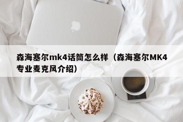 森海塞尔mk4话筒怎么样