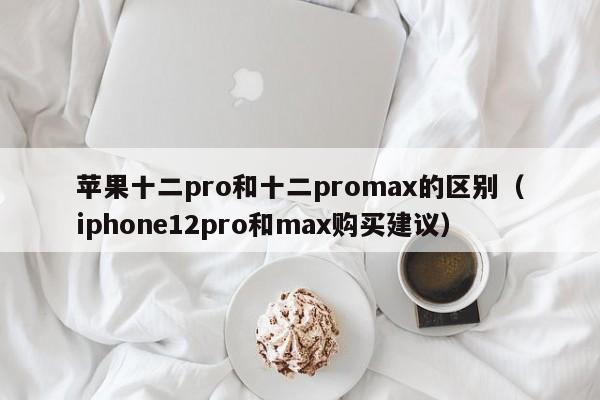 苹果十二pro和十二promax的区别