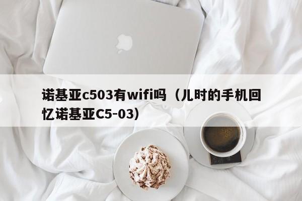 诺基亚c503有wifi吗