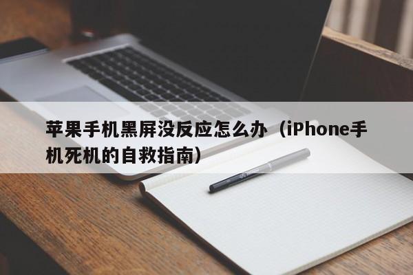 iPhone手机死机的自救指南(苹果手机黑屏没反应怎么办)