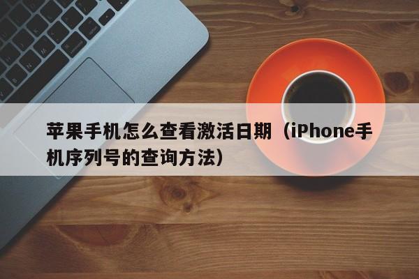 iPhone手机序列号的查询方法(苹果手机怎么查看激活日期)