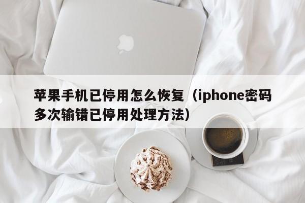 iphone密码多次输错已停用处理方法(苹果手机已停用怎么恢复)