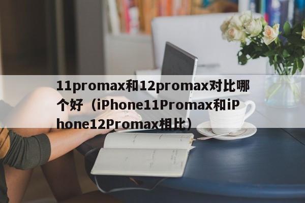 iPhone11Promax和iPhone12Promax相比(11promax和12promax对比哪个好)