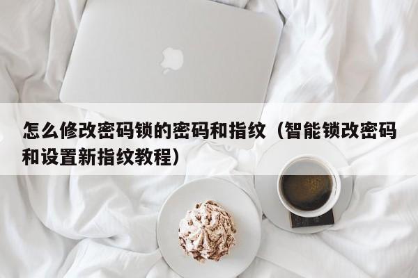 智能锁改密码和设置新指纹教程(怎么修改密码锁的密码和指纹)