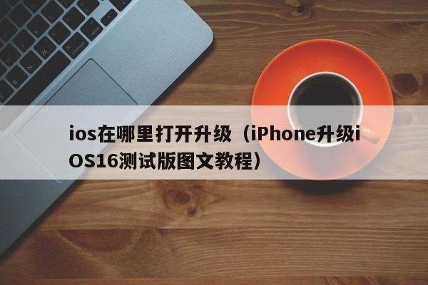 iPhone升级iOS16测试版图文教程(ios在哪里打开升级)