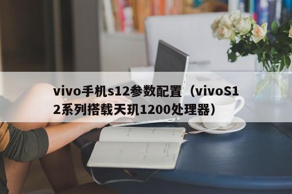 vivo手机s12参数配置