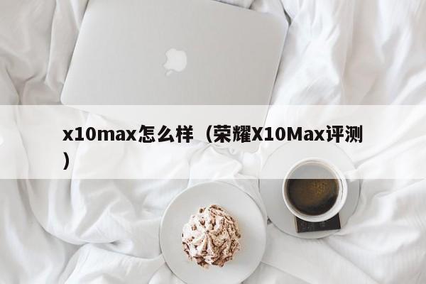 x10max怎么样