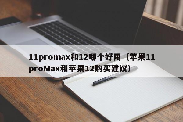 11promax和12哪个好用