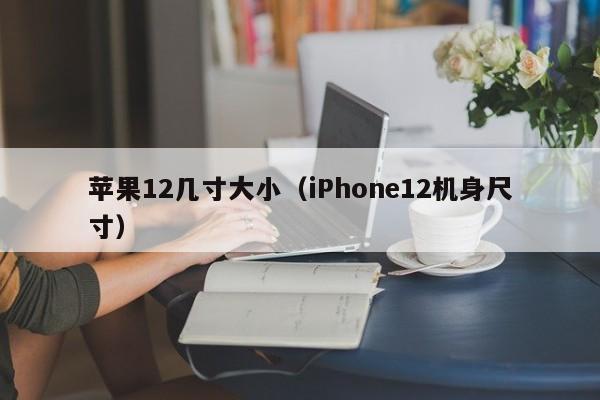 iPhone12机身尺寸(苹果12几寸大小)