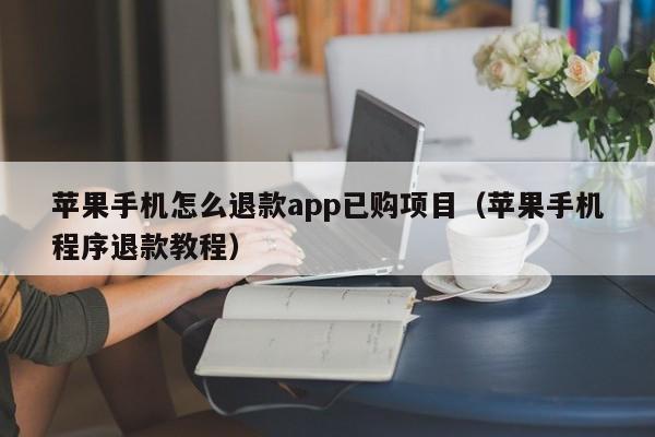 苹果手机怎么退款app已购项目