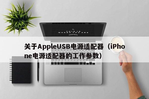 iPhone电源适配器的工作参数(关于AppleUSB电源适配器)