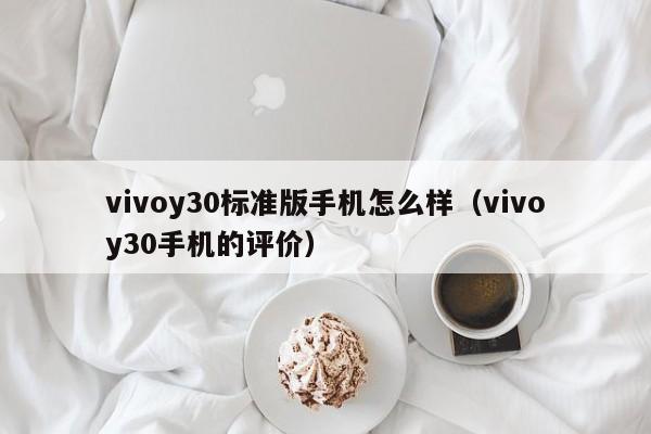 vivoy30标准版手机怎么样