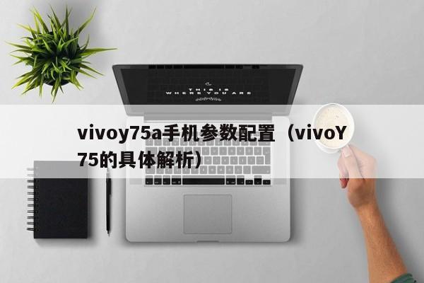 vivoy75a手机参数配置