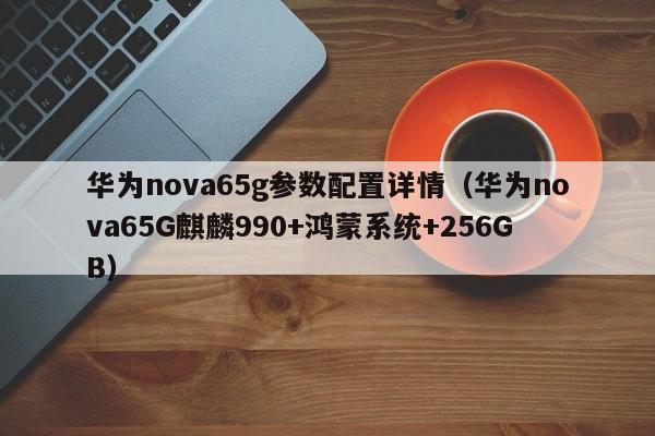 华为nova65G麒麟990+鸿蒙系统+256GB(华为nova65g参数配置详情)