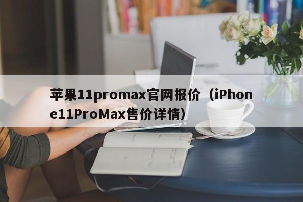 iPhone11ProMax售价详情(苹果11promax官网报价)