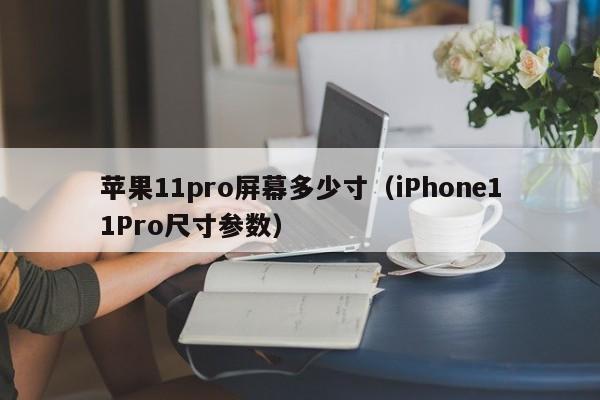 苹果11pro屏幕多少寸