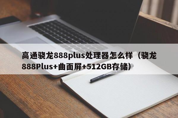 骁龙888Plus+曲面屏+512GB存储(高通骁龙888plus处理器怎么样)