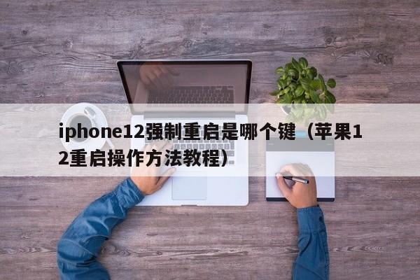 苹果12重启操作方法教程(iphone12强制重启是哪个键)