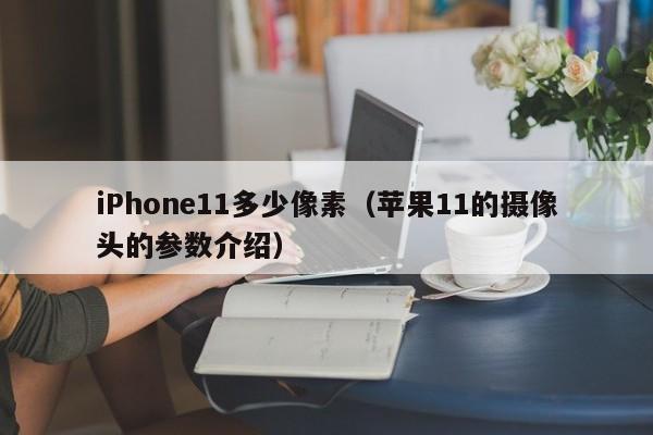 苹果11的摄像头的参数介绍(iPhone11多少像素)