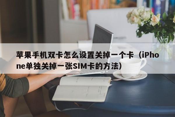 iPhone单独关掉一张SIM卡的方法(苹果手机双卡怎么设置关掉一个卡)