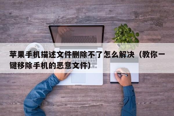 苹果手机描述文件删除不了怎么解决