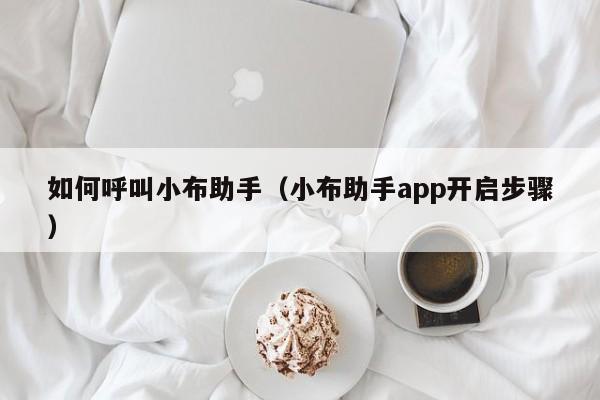 小布助手app开启步骤(如何呼叫小布助手)