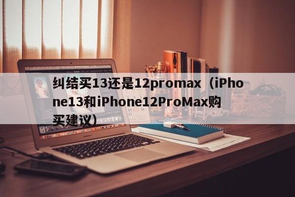 纠结买13还是12promax