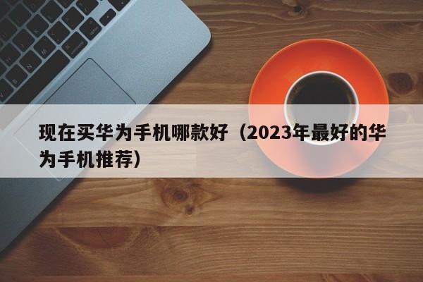 2023年最好的华为手机推荐(现在买华为手机哪款好)