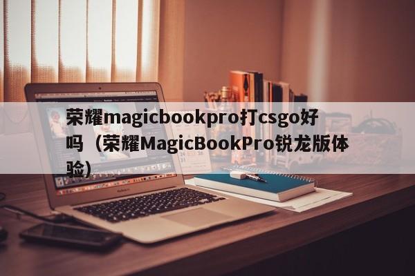 荣耀MagicBookPro锐龙版体验(荣耀magicbookpro打csgo好吗)