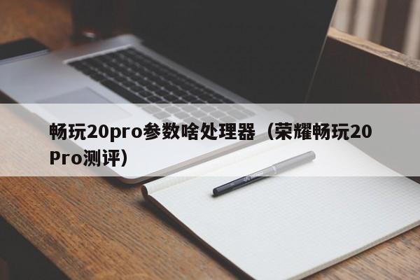 荣耀畅玩20Pro测评(畅玩20pro参数啥处理器)