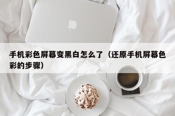 手机彩色屏幕变黑白怎么了