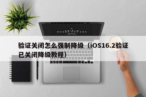 iOS16.2验证已关闭降级教程(验证关闭怎么强制降级)