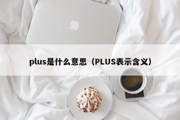 plus是什么意思