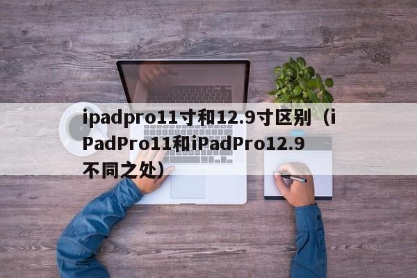 iPadPro11和iPadPro12.9不同之处(ipadpro11寸和12.9寸区别)